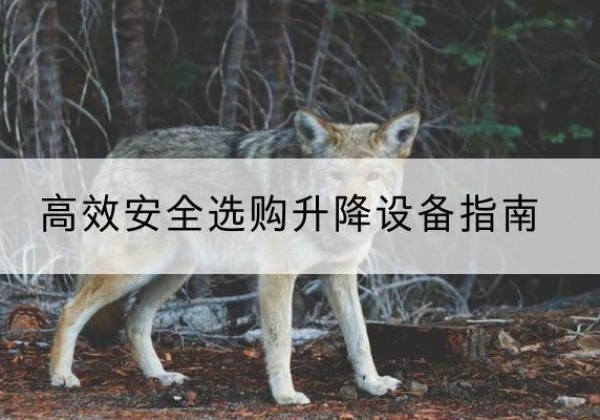 昌邑升降货梯厂家推荐-*安全选购升降设备指南